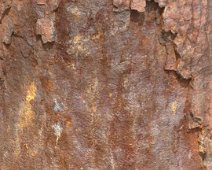 Martedì 22.05.2018 Portofino Abbazia di San Fruttuoso 182