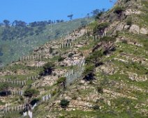 Venerdì 25.05.2018 Canelli 010