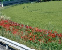 Venerdì 25.05.2018 Canelli 030