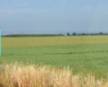 Venerdì 25.05.2018 Canelli 032