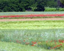 Venerdì 25.05.2018 Canelli 033