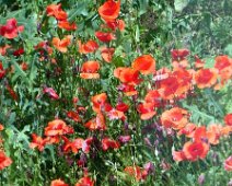 Venerdì 25.05.2018 Canelli 036