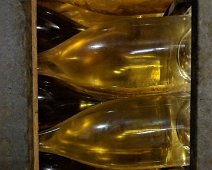 Venerdì 25.05.2018 Canelli 068  Maker:S,Date:2017-9-26,Ver:6,Lens:Kan03,Act:Lar02,E-Y