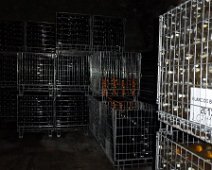 Venerdì 25.05.2018 Canelli 078