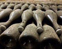 Venerdì 25.05.2018 Canelli 102  Maker:S,Date:2017-9-26,Ver:6,Lens:Kan03,Act:Lar02,E-Y